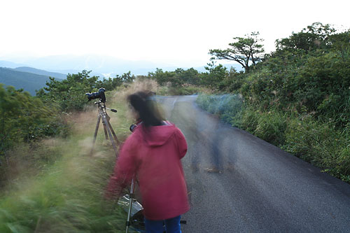 c0038290_7233334.jpg