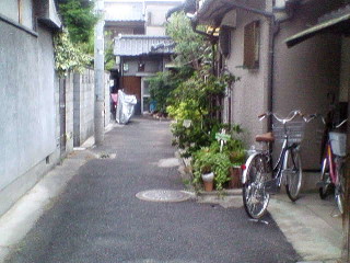 d0072395_918126.jpg