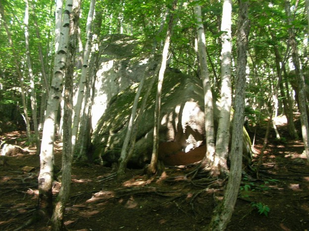 e0095321_2156376.jpg