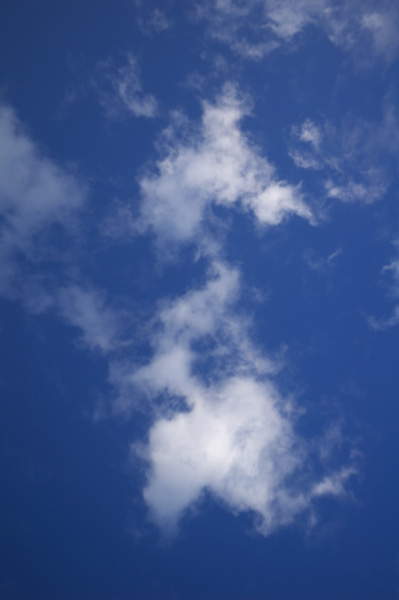e0006135_057493.jpg