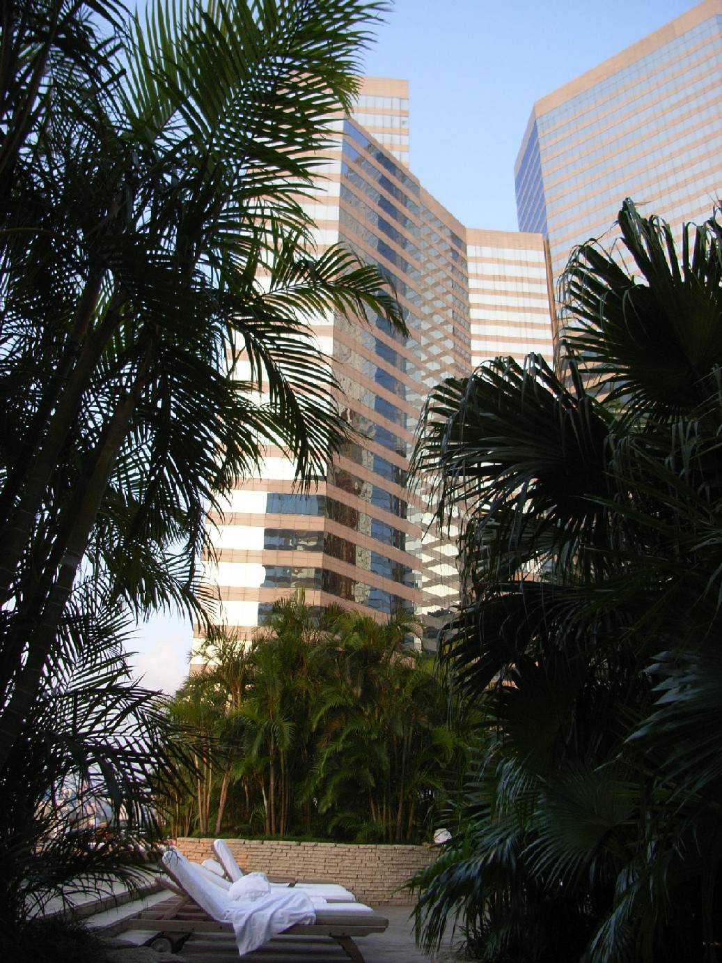 a0082536_23223382.jpg
