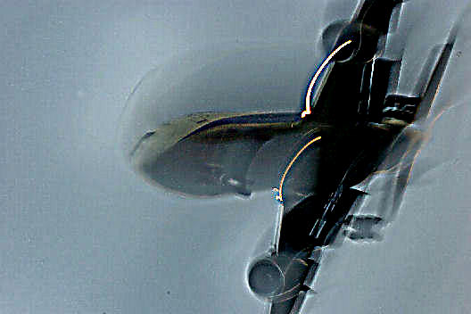 c0032138_9194261.jpg