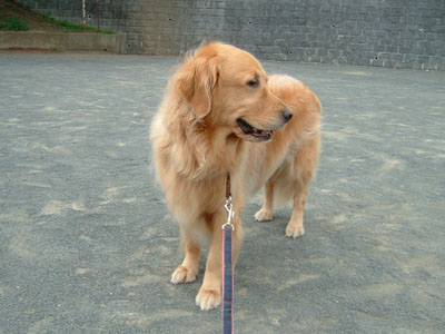 e0023643_22275425.jpg