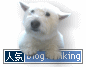 a0036544_2314923.gif