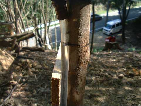 f0090444_22455254.jpg