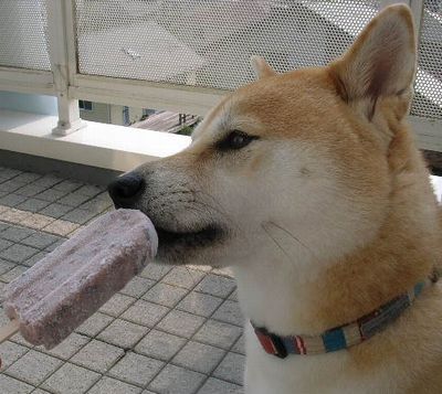 8月30日(水)・・・戻り夏_f0060461_1913169.jpg