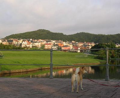 ８月３０日（水）・・・戻り夏_f0060461_19192241.jpg