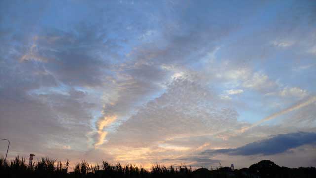 e0019563_20584625.jpg