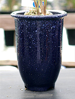 c0068168_90158.jpg