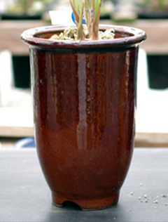 c0068168_90915.jpg