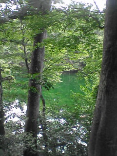 f0031777_10385728.jpg