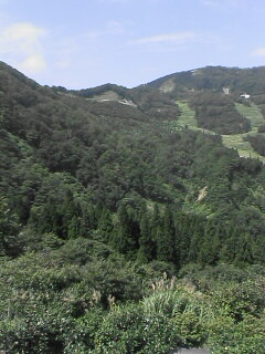 f0031777_1249620.jpg