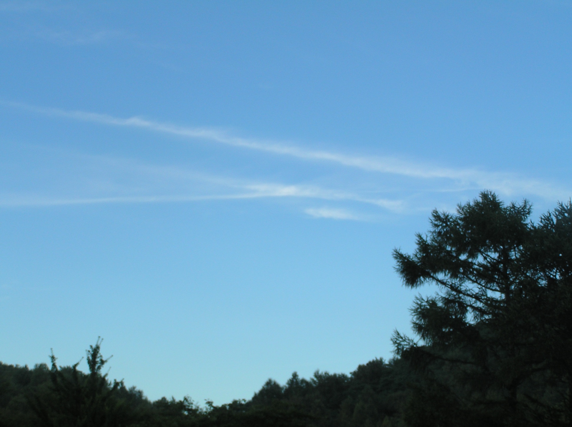 d0082288_22471538.jpg