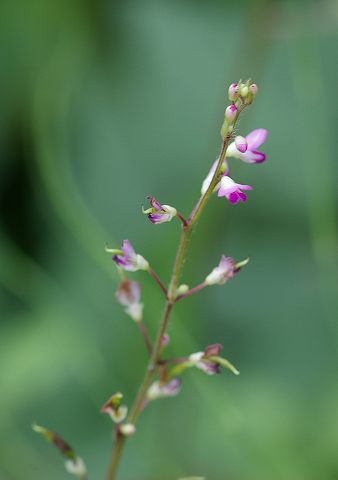 e0070891_2053141.jpg