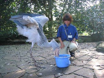 伊豆シャボテン公園に行ってきました_b0075193_1059854.jpg