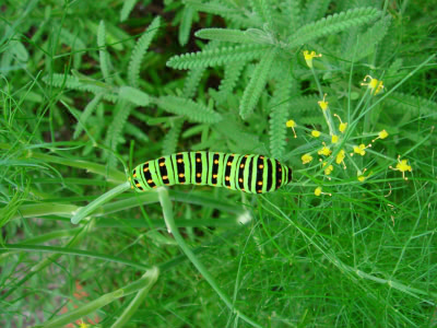 b0052394_9492696.jpg