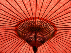 京都から戻りました。_b0014003_21451466.jpg
