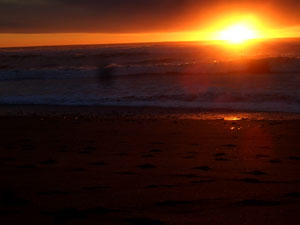 b0040606_16553067.jpg