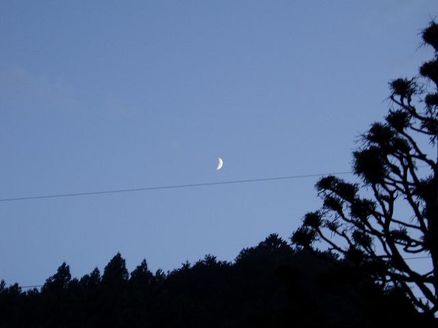c0086014_72875.jpg