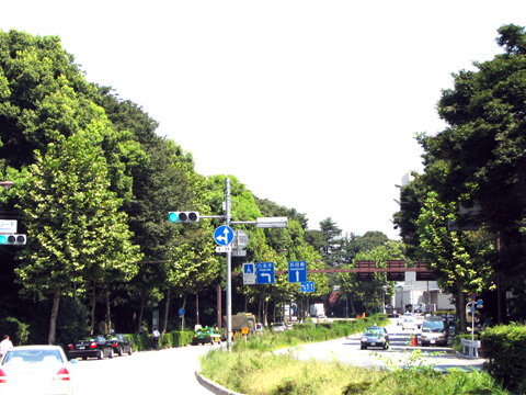 e0089826_19555155.jpg