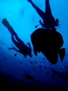 06.8.31 若人の海洋実習_b0100730_2130930.jpg