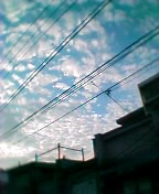a0058433_18310.jpg