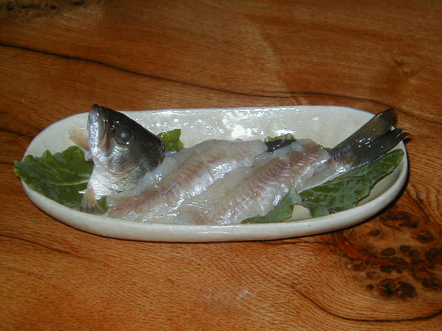 亀の話 2006.8.30_b0002156_449411.jpg