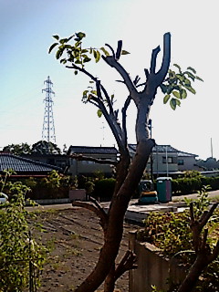 f0103062_958470.jpg