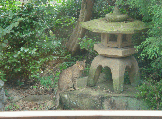 c0088584_12191664.gif