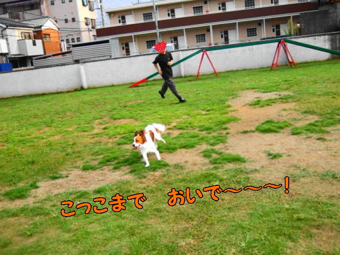 c0075585_317841.jpg