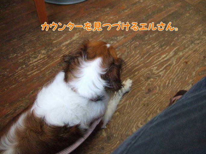 c0075585_321360.jpg
