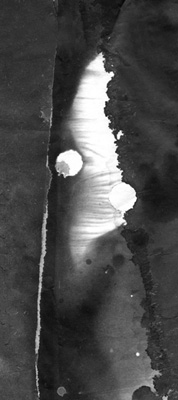 f0024090_07352.jpg