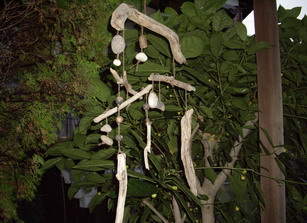 c0082200_09483.jpg