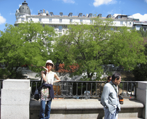 b0005238_2322116.gif