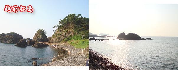 9.2  地元のかわいい水族館♪_f0011845_23381573.jpg