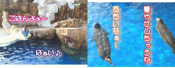 9.2  地元のかわいい水族館♪_f0011845_2340443.jpg