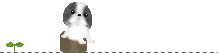 f0067245_19163628.gif
