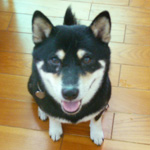 b0057675_1040369.jpg