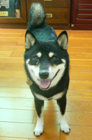 b0057675_10404676.jpg