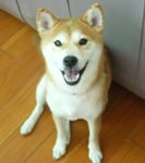 b0057675_10413543.jpg