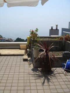 2006年8月31日 パサニア!パサニア!_b0098584_2141463.jpg