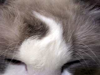 a0040888_151174.jpg