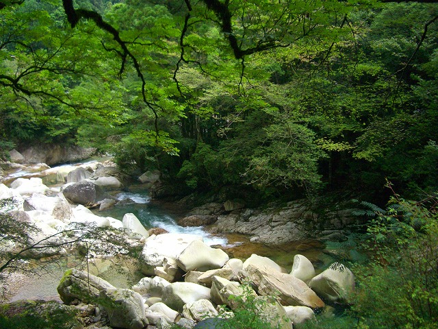 紀伊半島　世界遺産と名勝巡りの旅～2日目～_e0066495_4443855.jpg