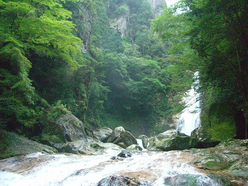 紀伊半島　世界遺産と名勝巡りの旅～2日目～_e0066495_4481536.jpg