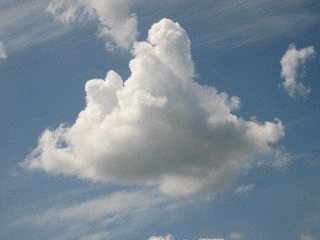 d0021097_2231675.gif