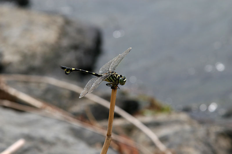 c0058205_03129.jpg