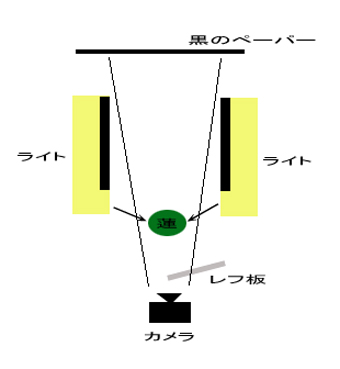 ライティング解説の巻_f0100215_1261783.jpg