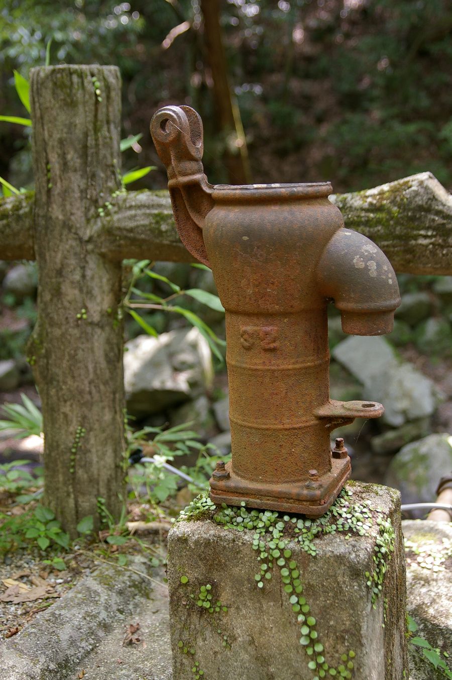 b0069128_0134864.jpg
