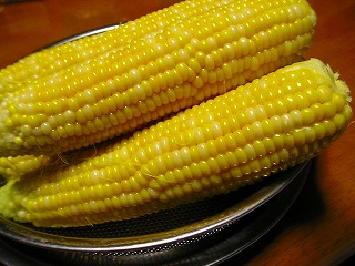 a0022041_2054556.jpg