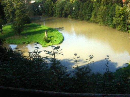 f0077150_054729.gif